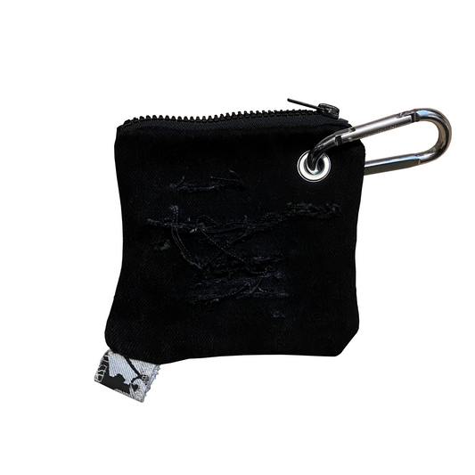 "hidden stars" pouch